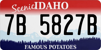 ID license plate 7B5827B