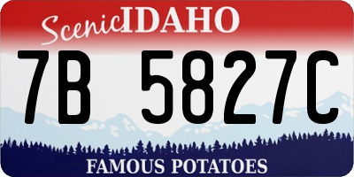 ID license plate 7B5827C