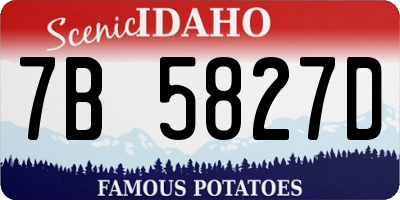 ID license plate 7B5827D