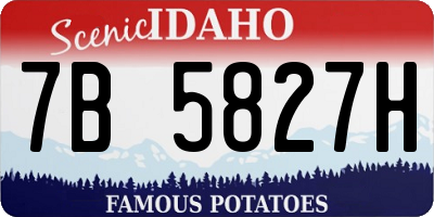 ID license plate 7B5827H