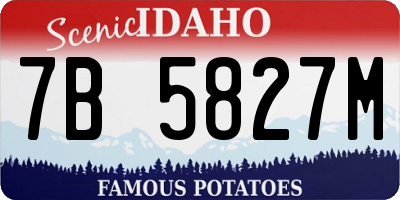 ID license plate 7B5827M