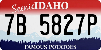 ID license plate 7B5827P