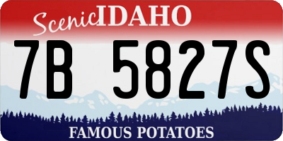 ID license plate 7B5827S