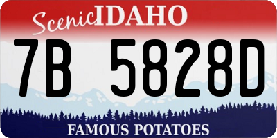 ID license plate 7B5828D