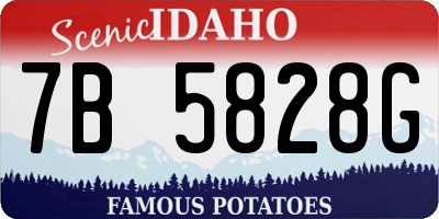 ID license plate 7B5828G