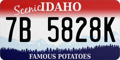 ID license plate 7B5828K