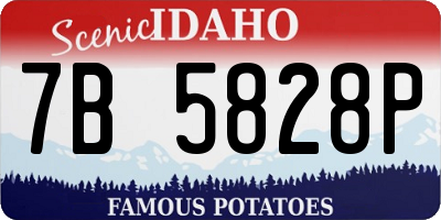 ID license plate 7B5828P