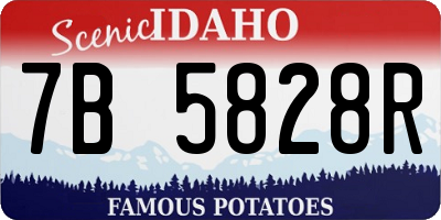 ID license plate 7B5828R