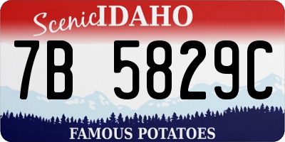 ID license plate 7B5829C