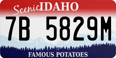 ID license plate 7B5829M
