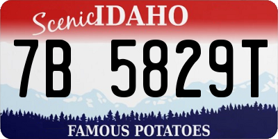 ID license plate 7B5829T