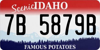 ID license plate 7B5879B