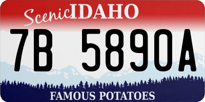 ID license plate 7B5890A