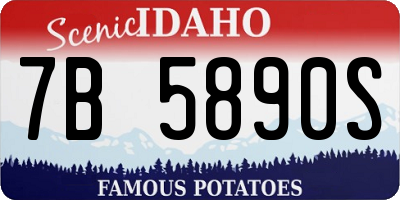 ID license plate 7B5890S