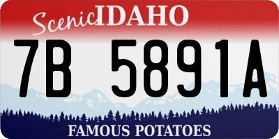 ID license plate 7B5891A