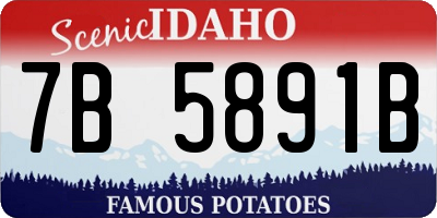 ID license plate 7B5891B