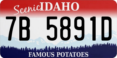 ID license plate 7B5891D
