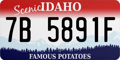 ID license plate 7B5891F