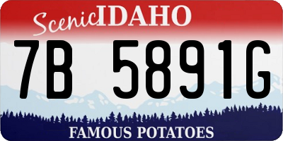 ID license plate 7B5891G
