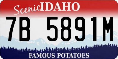 ID license plate 7B5891M