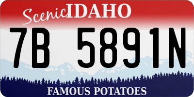 ID license plate 7B5891N