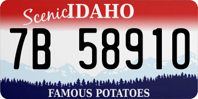 ID license plate 7B5891O
