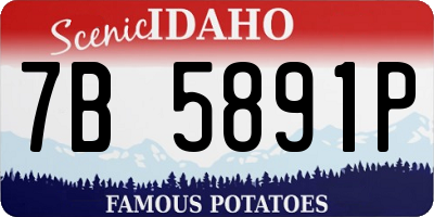 ID license plate 7B5891P