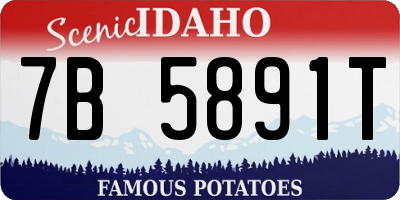 ID license plate 7B5891T