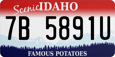 ID license plate 7B5891U