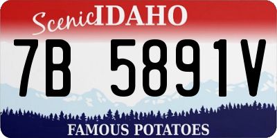 ID license plate 7B5891V