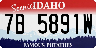 ID license plate 7B5891W