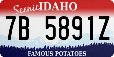 ID license plate 7B5891Z