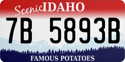 ID license plate 7B5893B