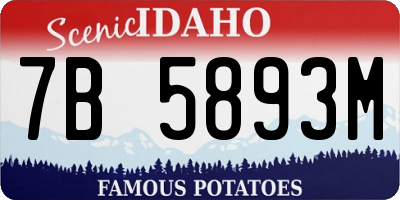 ID license plate 7B5893M