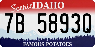 ID license plate 7B5893Q