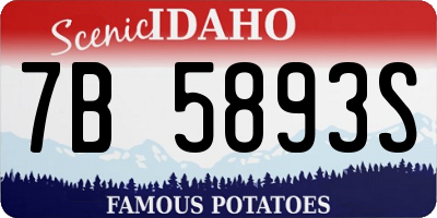 ID license plate 7B5893S
