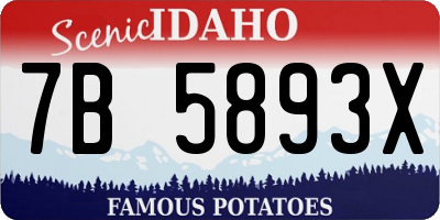 ID license plate 7B5893X