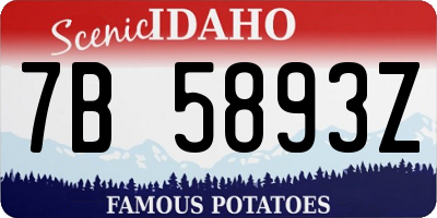 ID license plate 7B5893Z