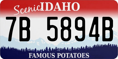 ID license plate 7B5894B