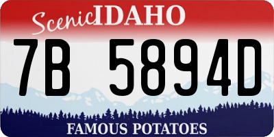 ID license plate 7B5894D