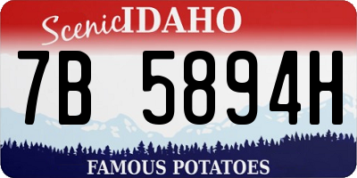 ID license plate 7B5894H