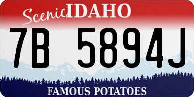 ID license plate 7B5894J