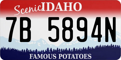 ID license plate 7B5894N