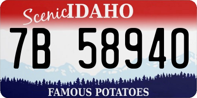 ID license plate 7B5894O