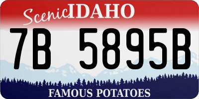 ID license plate 7B5895B