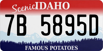 ID license plate 7B5895D