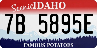 ID license plate 7B5895E