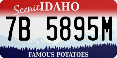 ID license plate 7B5895M