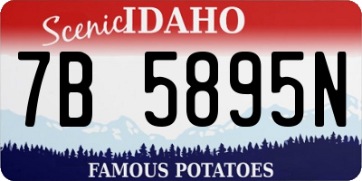 ID license plate 7B5895N
