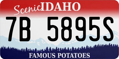 ID license plate 7B5895S